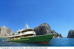 MV Solmar V Liveaboards MV Solmar V Liveaboards Main Image