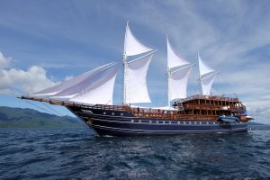 MSV Amira Liveaboards MSV Amira Liveaboards Main Image