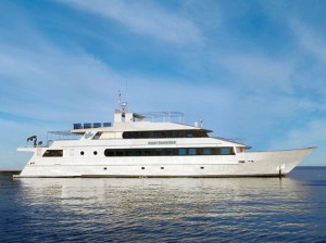 Tauchsafaris und Tauchkreuzfahrten Info M/V Royal Evolution Tauchsafaris und Tauchkreuzfahrten M/V Royal Evolution