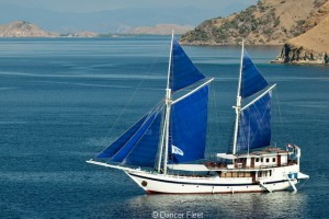 Indo Aggressor Liveaboards Indo Aggressor Liveaboards Main Image
