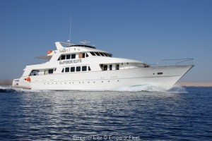 Tauchsafaris und Tauchkreuzfahrten MV Emperor Elite