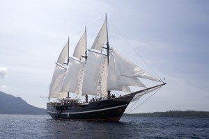 Dewi Nusantara Liveaboards Dewi Nusantara Liveaboards Main Image