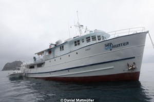 Tauchsafaris und Tauchkreuzfahrten MV Sea Hunter