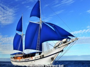 SY Fiji Siren Liveaboards SY Fiji Siren Liveaboards Main Image