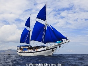 SY Indo Siren Liveaboards SY Indo Siren Liveaboards Main Image