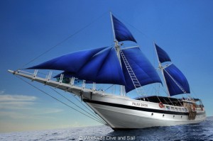 SY Palau Siren Liveaboards SY Palau Siren Liveaboards Main Image