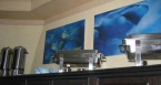 M/V Seven7Seas 02304003_7essen Liveaboards 02304003_7essen.jpg
