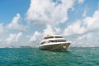 MV Emperor Orion 04818851_orionprofil640 Liveaboards 04818851_orionprofil640.jpg