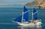 Liveaboards 10703344_komododancer_yacht640.jpg