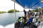Rock Island Aggressor 10716168_tropic_dancer_tender640 Liveaboards 10716168_tropic_dancer_tender640.jpg