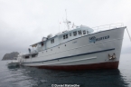 Liveaboards 24016848_sea_hunter_profile_2_daniel_mattmueller.jpg