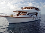 Sonderpreise MV Sheena Malediven Tauchsafaris. Sonderpreise MV Sheena Malediven Tauchsafaris.