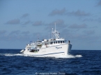 Liveaboards 33109250_seahunteraussenc.jpg