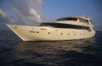 M/Y Amba 34362022_malediven_liveaboards_amba Liveaboards 34362022_malediven_liveaboards_amba.jpg