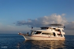MY Sheena 34362048_malediven_liveaboards_sheena Liveaboards 34362048_malediven_liveaboards_sheena.jpg