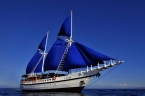 SY Philippine Siren 45825782_phillipine_siren Liveaboards 45825782_phillipine_siren.jpg