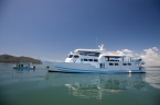 M/V Yemaya 69346324_komplette_seitenansicht_samt_beiboot Liveaboards 69346324_komplette_seitenansicht_samt_beiboot.jpg