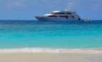 MV Carpe Diem 72703789_carpeinselneu Liveaboards 72703789_carpeinselneu.jpg