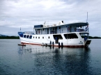 M/V Bilikiki 81783330_bilikikiback Liveaboards 81783330_bilikikiback.jpg