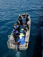 M/V Bilikiki 81783331_tinnietender Liveaboards 81783331_tinnietender.jpg