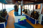MV Sea Spirit 86690797_seaspiritqueendiveboat Liveaboards 86690797_seaspiritqueendiveboat.jpg