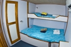 MV Ocean Hunter 3 88327499_oceanhunter3standardcabin Liveaboards 88327499_oceanhunter3standardcabin.jpg