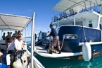 MV Ocean Hunter 3 88327500_oceanhunter3divedeck640 Liveaboards 88327500_oceanhunter3divedeck640.jpg